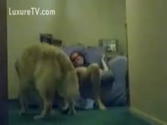 With a K9, the cock-hungry cougar takes off her disguise for an unforgettable beastiality session.